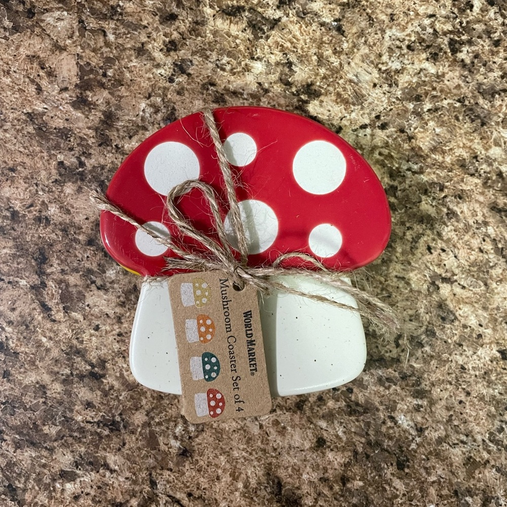 COPY - Multicolor Mushroom Coasters (Set of 4)